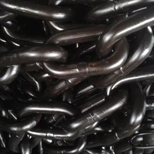 অ্যাশ হ্যান্ডলারের জন্য জি 80 চেইন